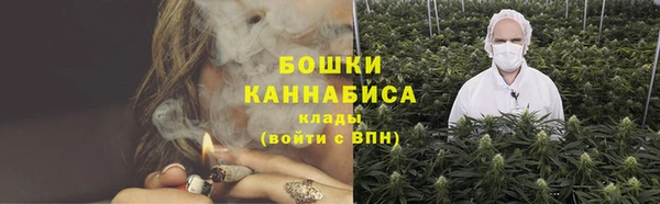 ешки Богданович