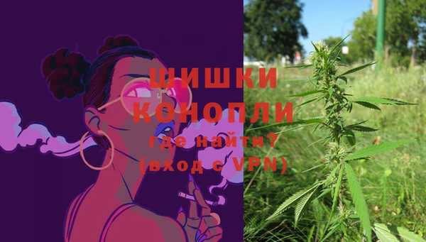 ешки Богданович