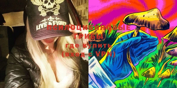 ешки Богданович