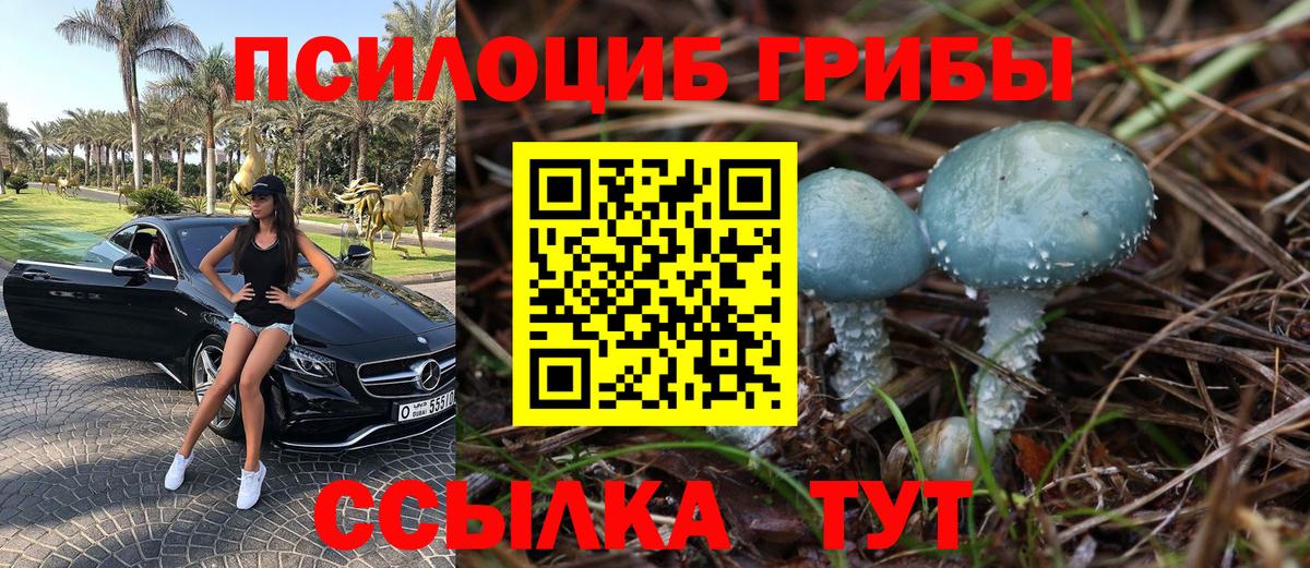 купить наркотики сайты  Галлюциногенные грибы мицелий  Вход с VPN  Надым 